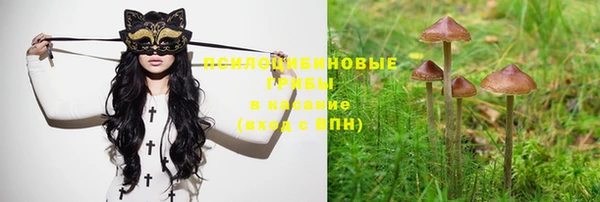 ешки Иннополис