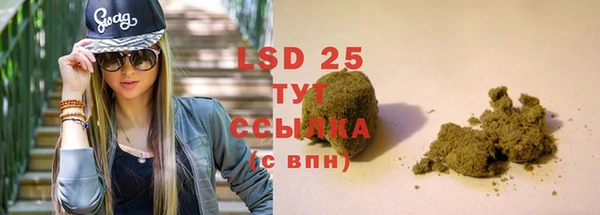 PSILOCYBIN Инсар