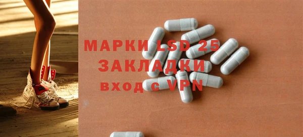PSILOCYBIN Инсар