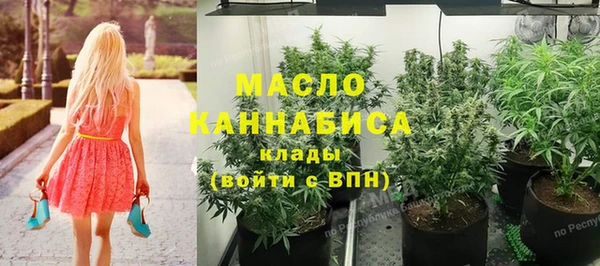 ешки Иннополис