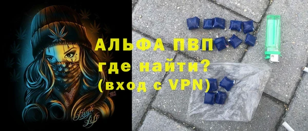 PSILOCYBIN Инсар