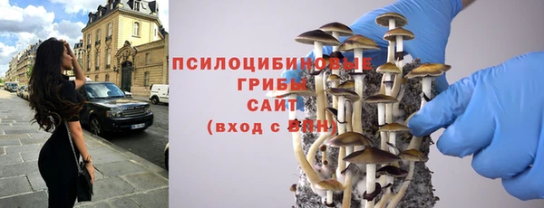 ешки Иннополис