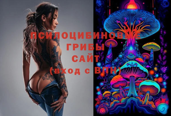 ешки Иннополис