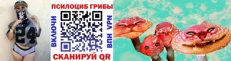 продажа наркотиков  Минеральные Воды  Галлюциногенные грибы Cubensis 